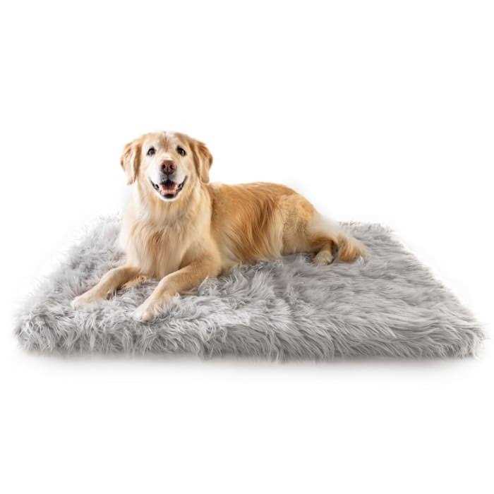 Paw PupRug Portable Orthopedic Dog Bed White - Healthber