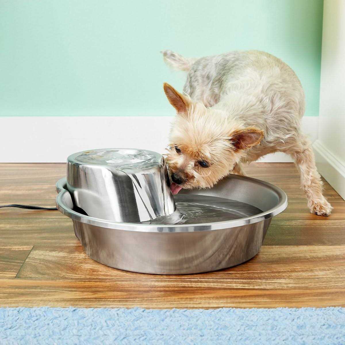 Pioneer Pet Big Max Stainless Steel Fountain - Healthber