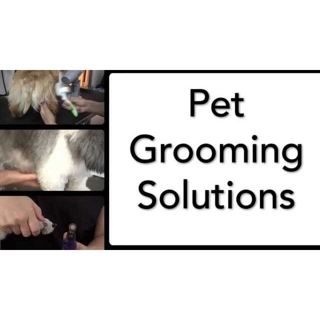 Andis ProClip AGC Pet Hair Clipper Kit - Healthber