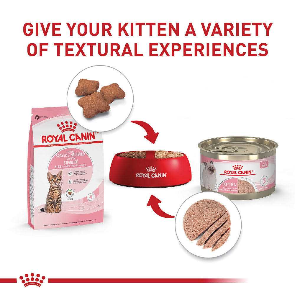 Royal Canin Feline Health Nutrition Kitten Spayed/Neutered Dry Cat Food - Healthber