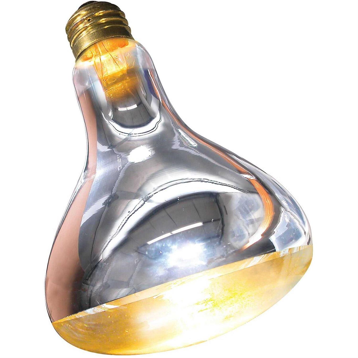Zoo Med Repti Basking Spot Lamp - Healthber