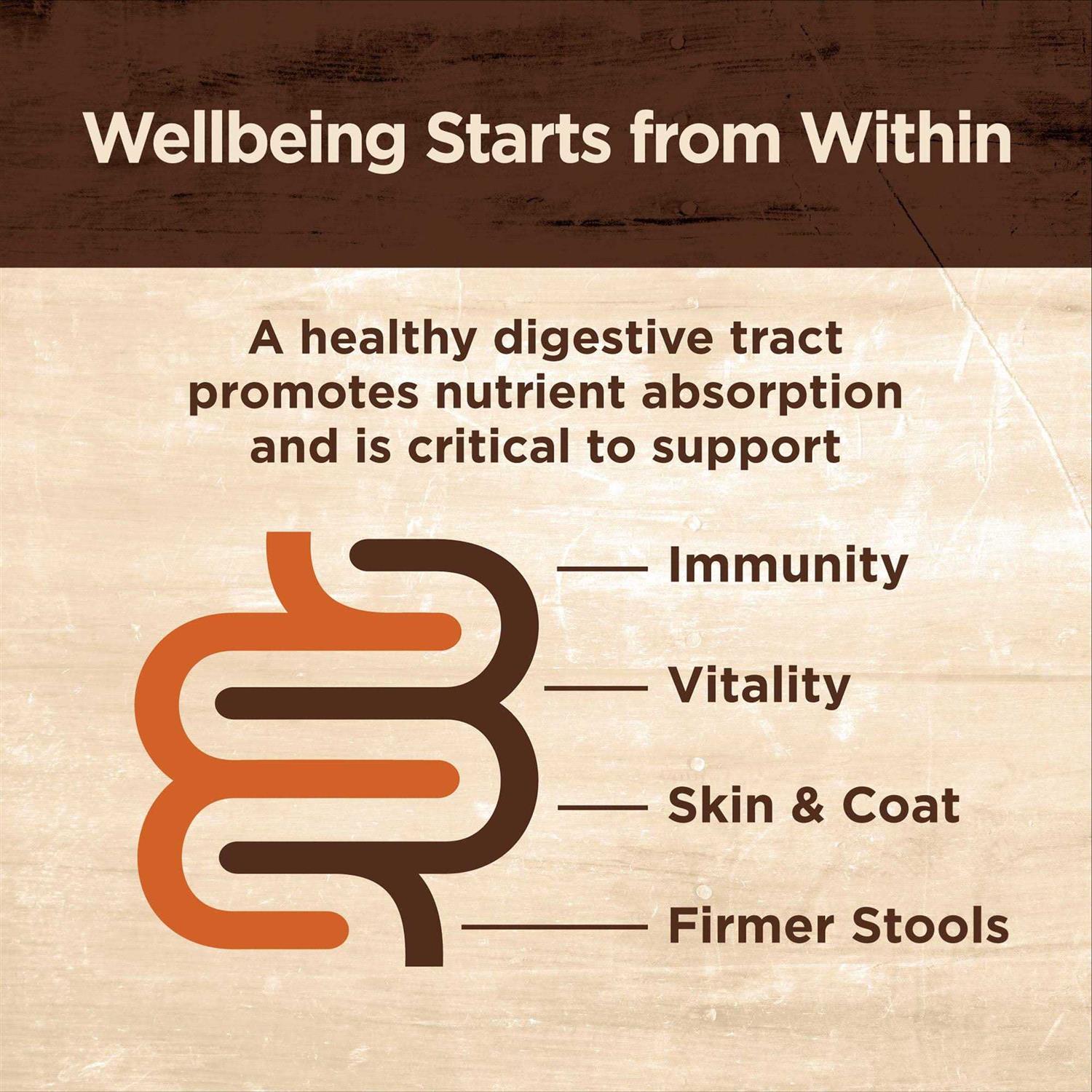 Wellness Core Digestive Health Pate Recipe Wet Cat Food - Healthber