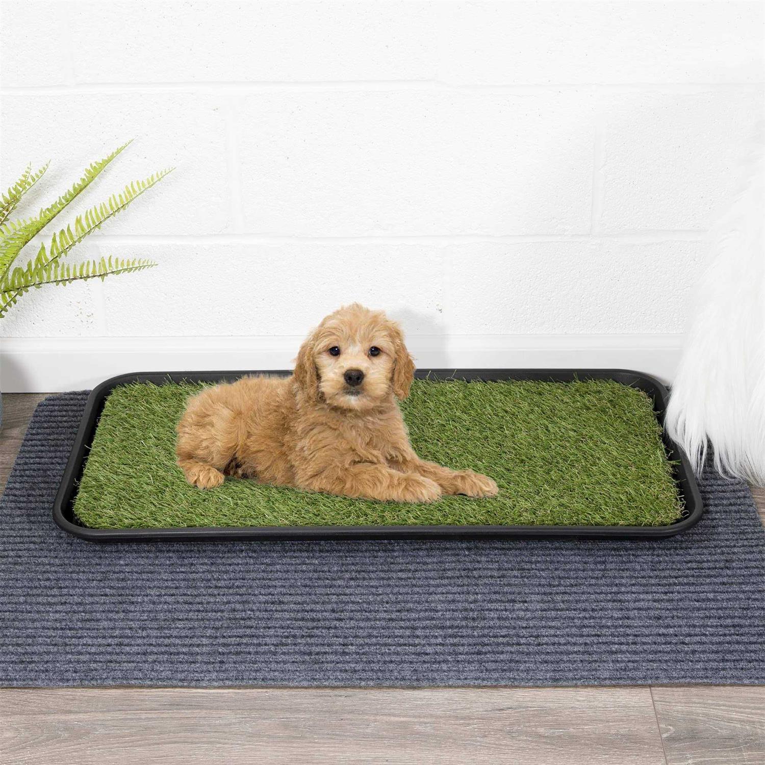 Ottomanson Pet Non-Slip Easy Clean Indoor/Outdoor Tray with Reusable Grass Pad - Healthber