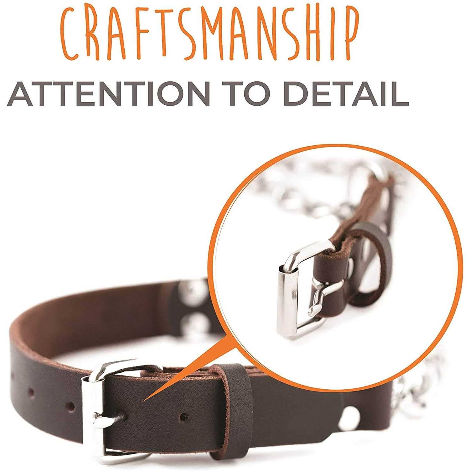 Mighty Paw Leather Collar Martingale Collar - Healthber
