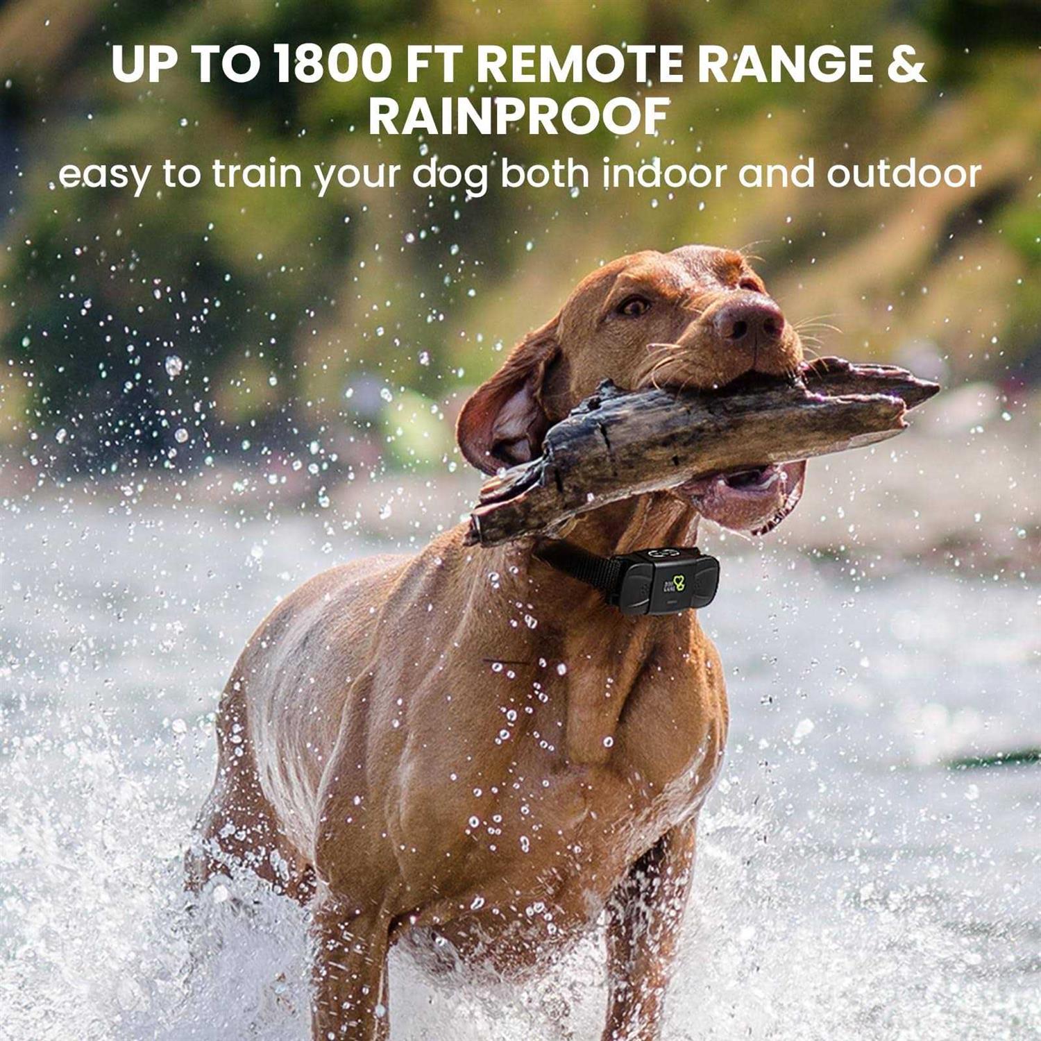 Dog CARE Dog Training Collar Shock Collar with Beep Vibration - Healthber