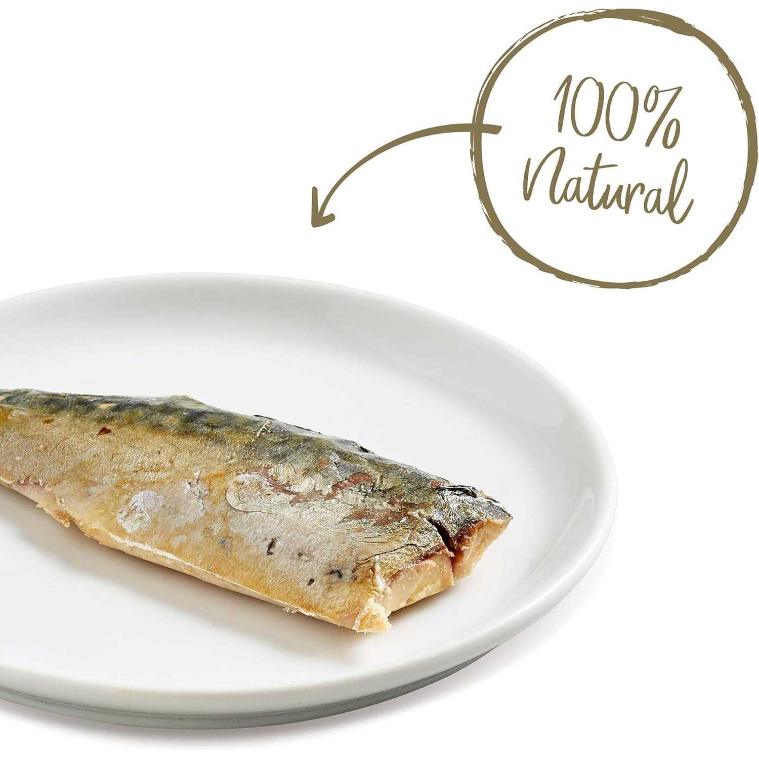 Applaws Natural Whole Mackerel Loin Cat Treat - Healthber