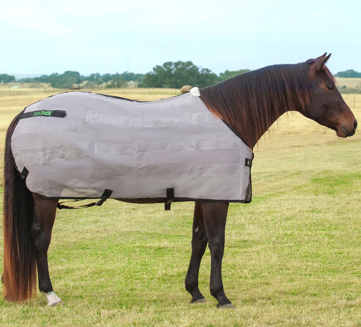 Classic Equine MagNTX Magnetic Horse Therapy Sheet - Healthber
