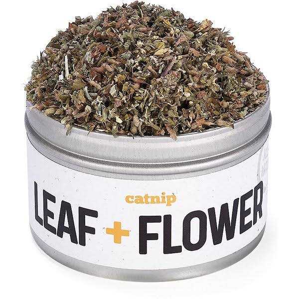 Litterbox.com™ Silver Vine Catnip in Bisque - Healthber