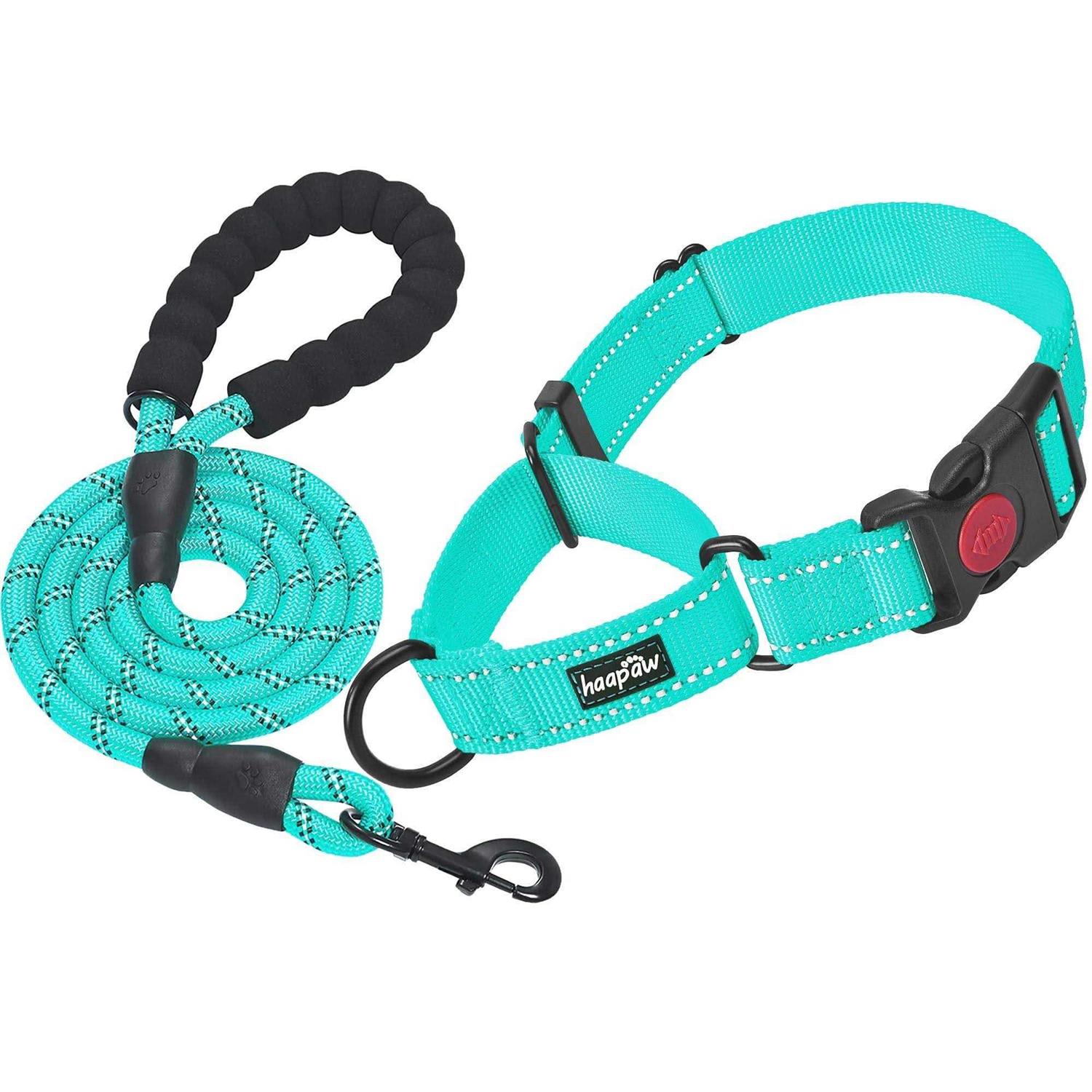 Haapaw 2 Packs Martingale Dog Collar with Quick Release Buckle Reflective Dog Training Collars for Small Medium Large Dogs - Healthber
