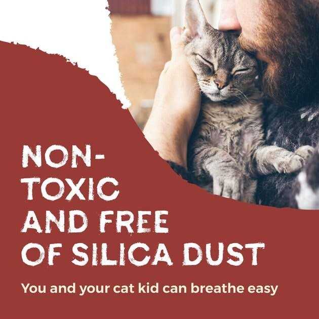 Eco-Shell Naturally Fresh Cat Litter Made from Walnut Shells - Healthber