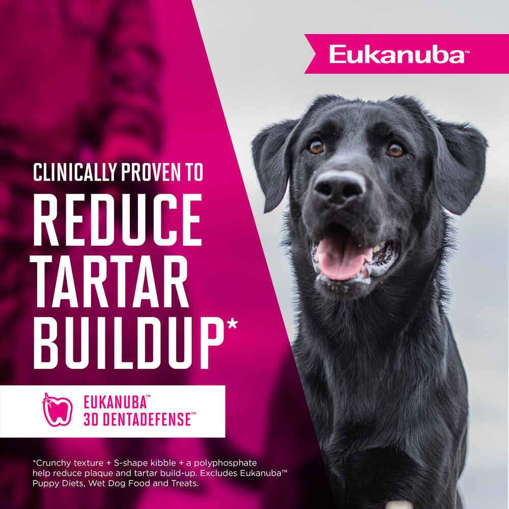Eukanuba Adult Dry Dog Food - Healthber