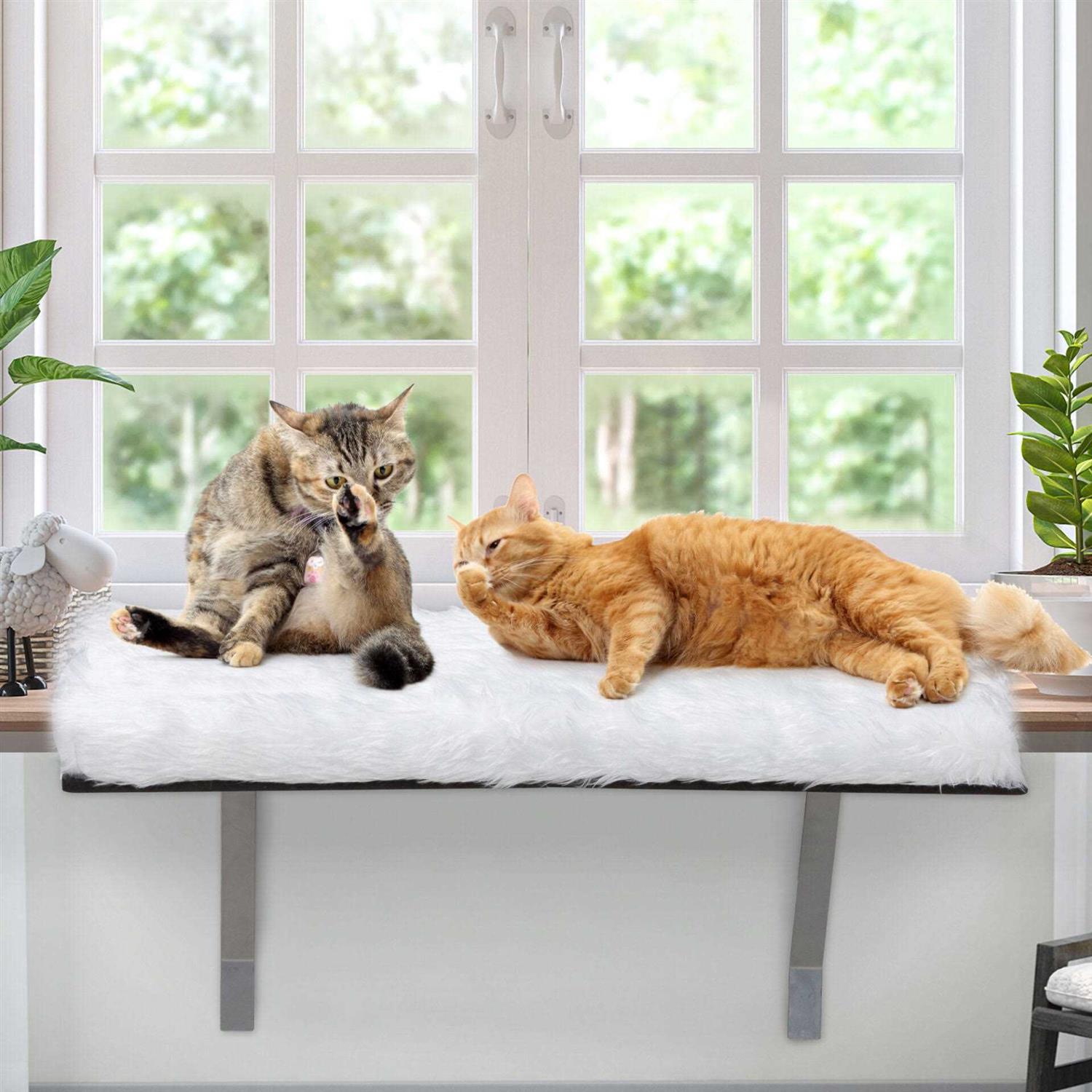 Coziwow Cat Window Perch & Windowsill Bed with Soft Cushion - Healthber