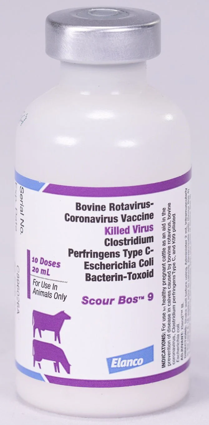 Scour Bos 9 - Healthber