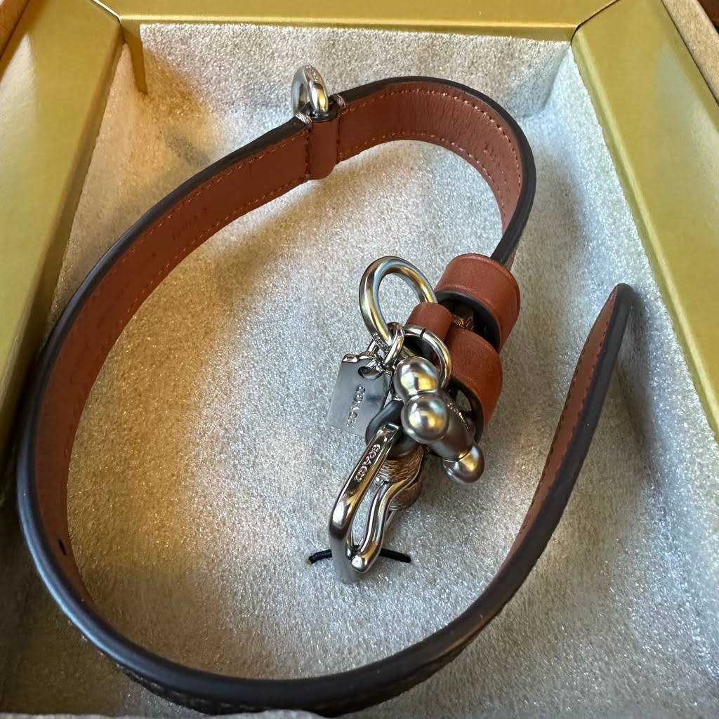 Coach Outlet Boxed Pet Collar In Signature Canvas - Healthber