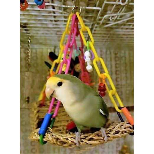 Super Bird Creations SB747 Mini Flying Trapeze Bird Toy - Healthber