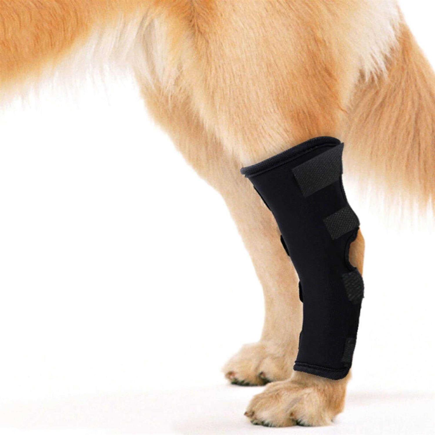 PETILUCK Waterproof Dog Leg Braces for Back Leg Canine Rear Leg Hock Joint Wrap Protects for Dogs with Torn Acl, Sprain Protection and Wound Healing - Healthber