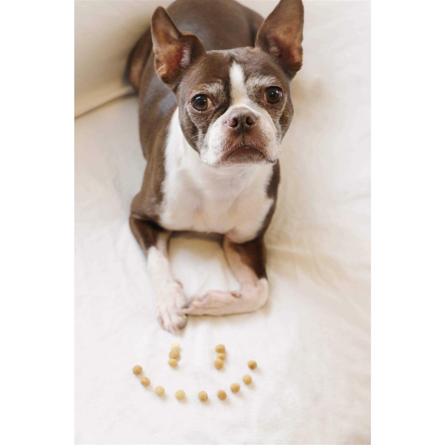 Redbarn Protein Puffs Dog Treats - Healthber