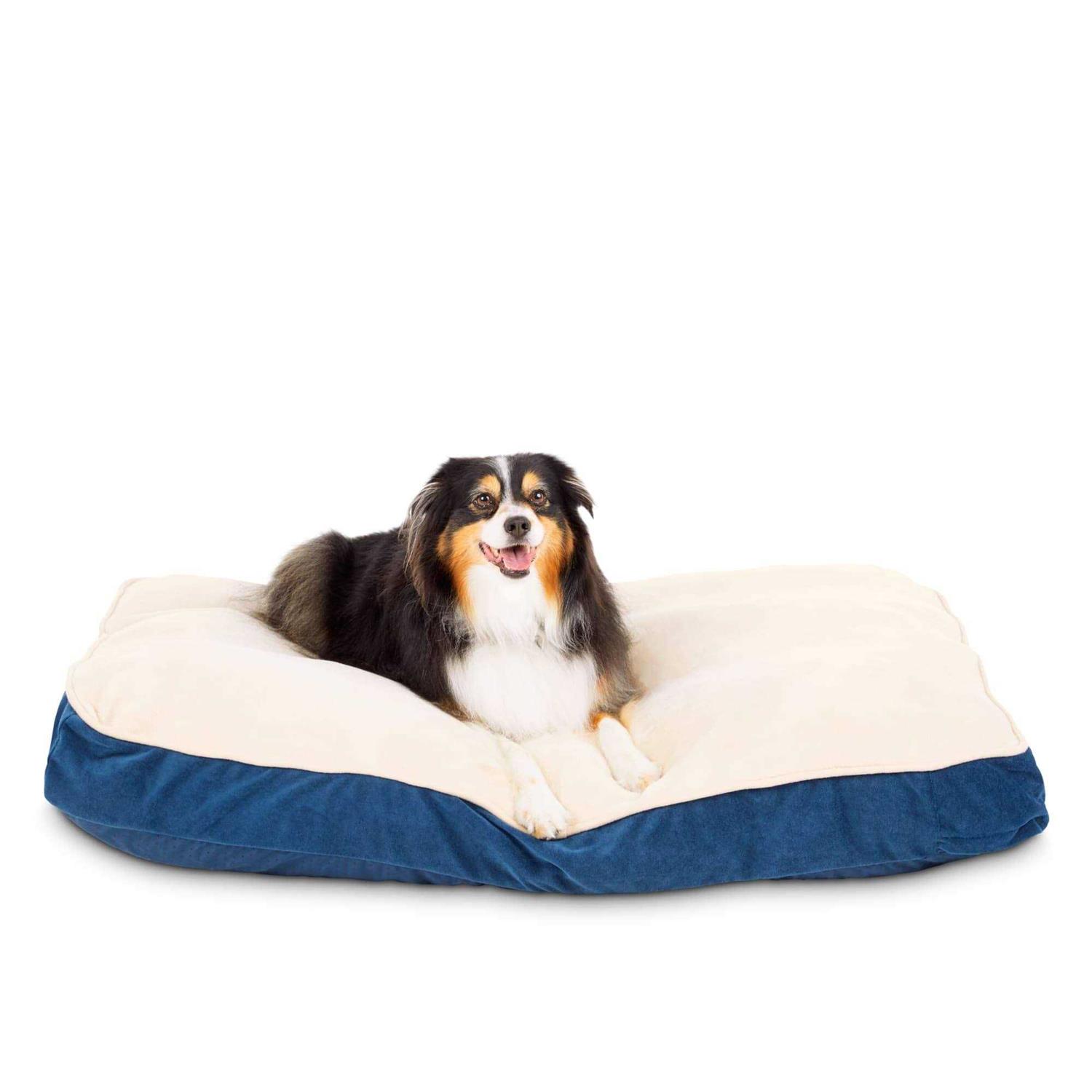 EveryYay Essentials Snooze Fest Lounger Dog Bed - Healthber