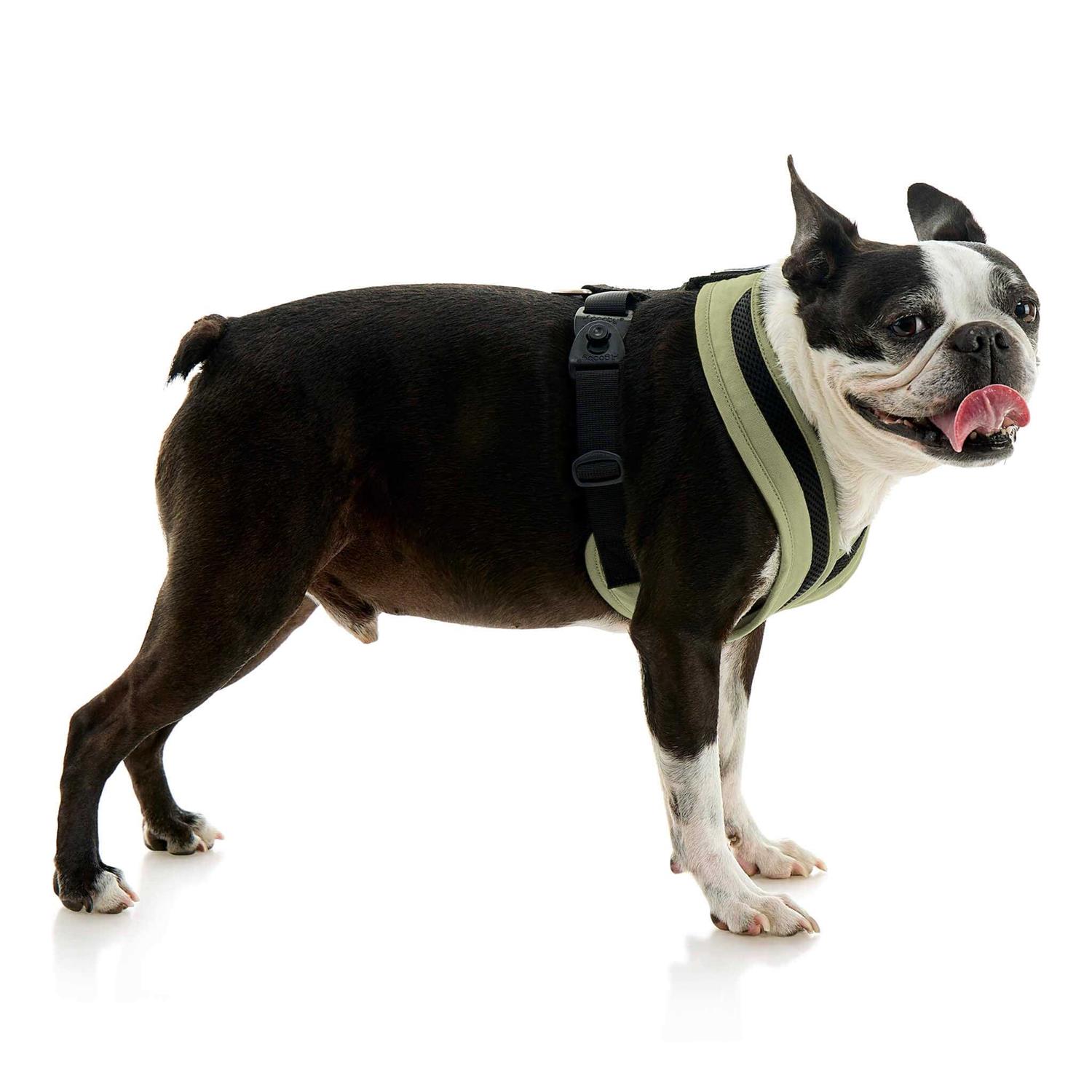 Gooby Escape Free Comfort X One Dog Harness - Healthber