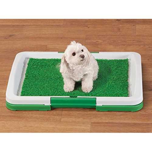 Global TV Products Potty Trainer - Healthber