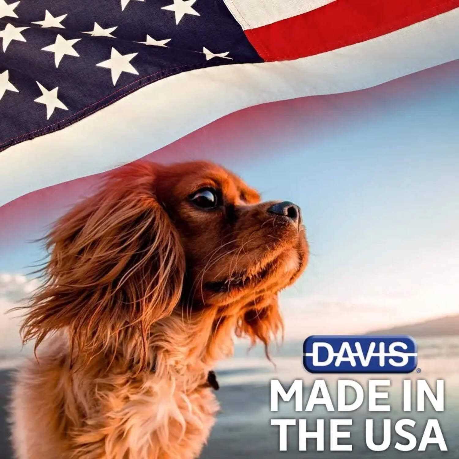 Davis Quick Dry Spray - Healthber