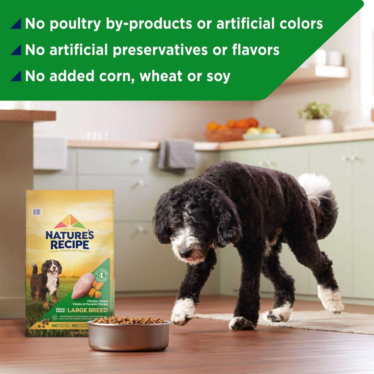 Nature’s Recipe Large Breed Grain-Free Chicken Sweet Potato & Pumpkin Recipe Dry Dog Food - Healthber