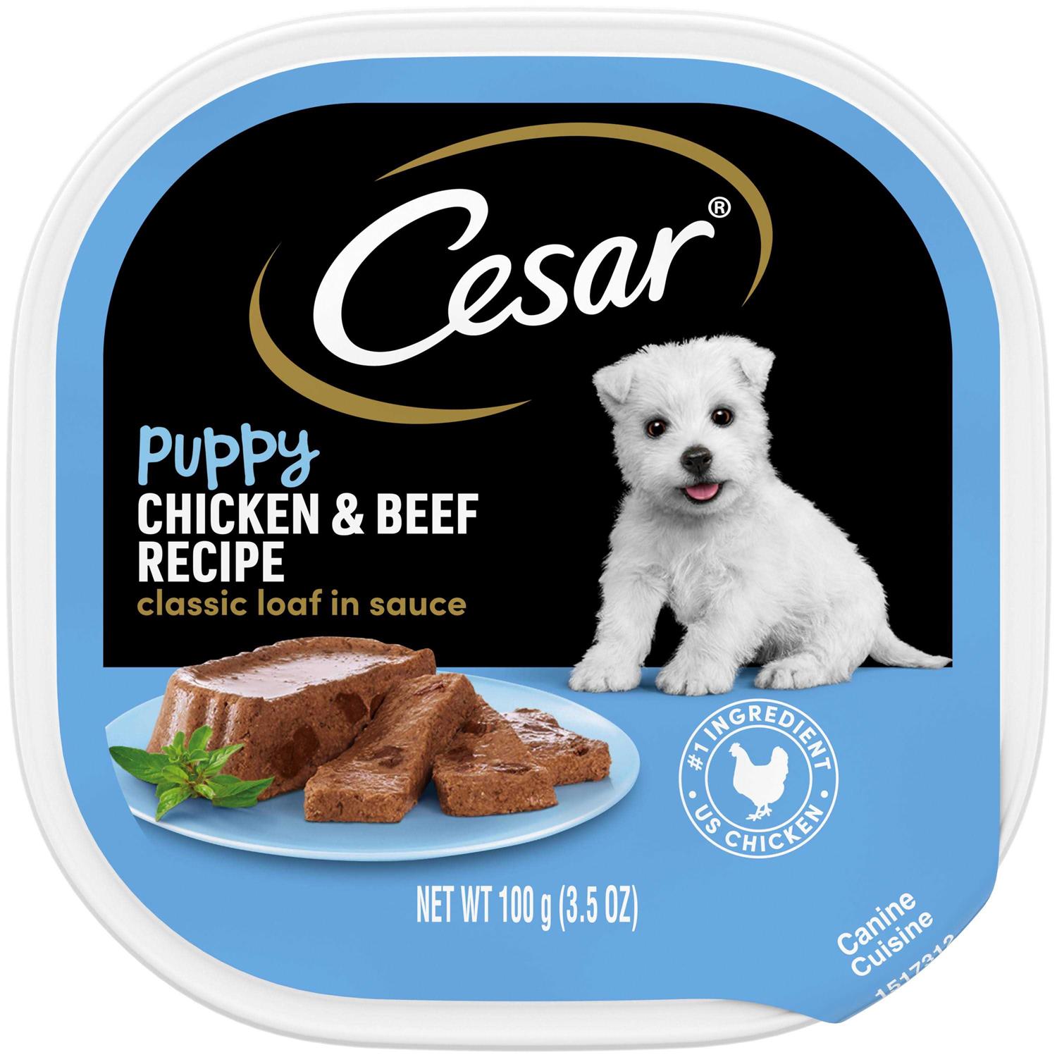 Cesar Classic Loaf in Sauce Wet Dog Food Chicken & Beef Recipe Puppy - Healthber