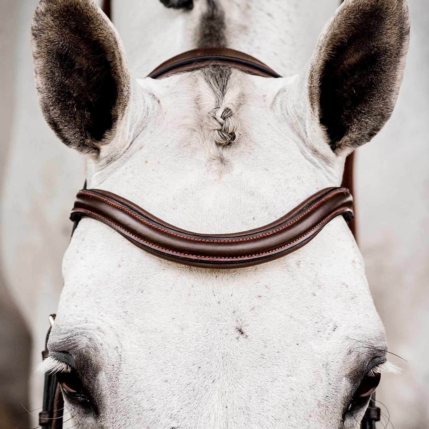 Micklem 2.0 Deluxe Competition Bridle, Havana - Healthber
