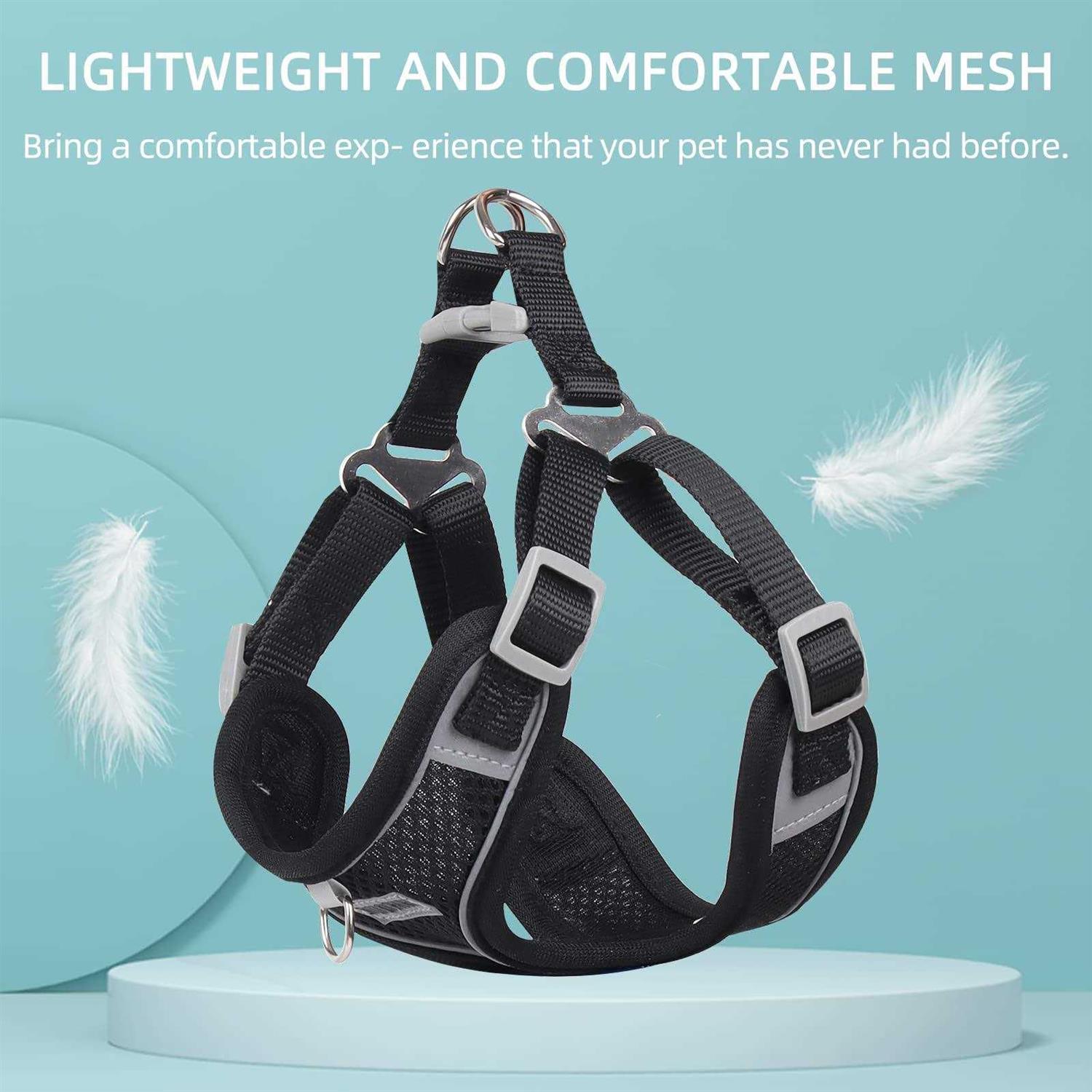 rennaio Dog Harness No Pull, Adjustable Puppy Harness with 2 Leash Clips, Ultra Padded Dog Vest Harness, Reflective Dog Harness and Leash - Healthber