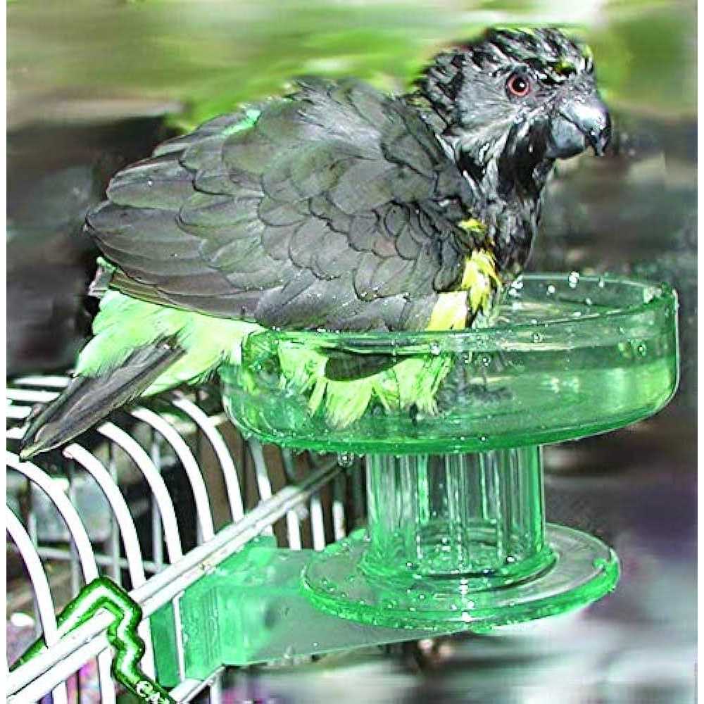 Lixit Quick Lock Bird Bath - Healthber