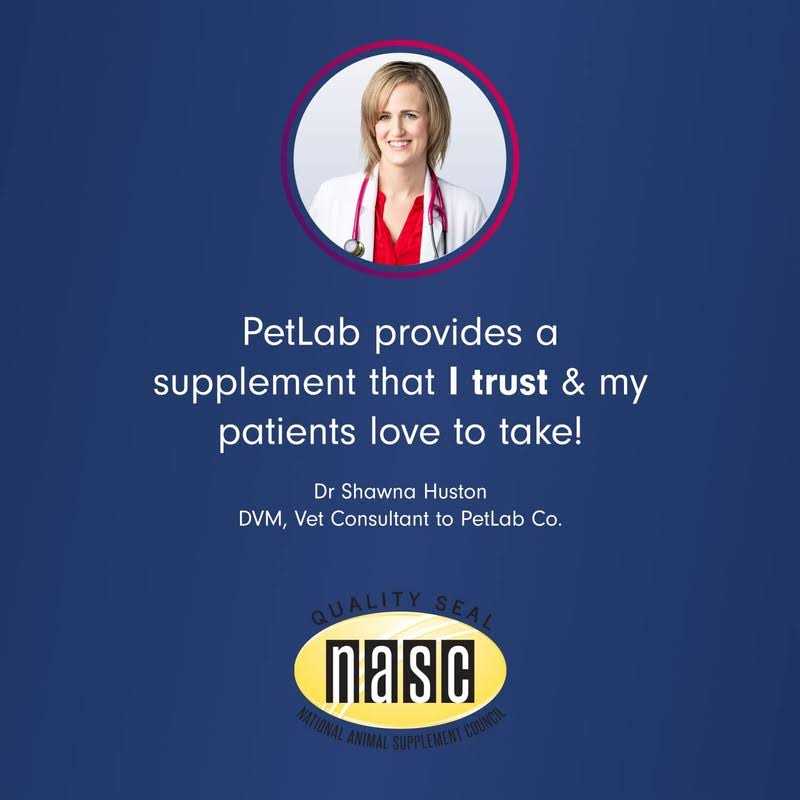 PetLab Co. Probiotic Digestive Supplement Pork Flavored Soft Chews for Dogs, 30 count - Healthber