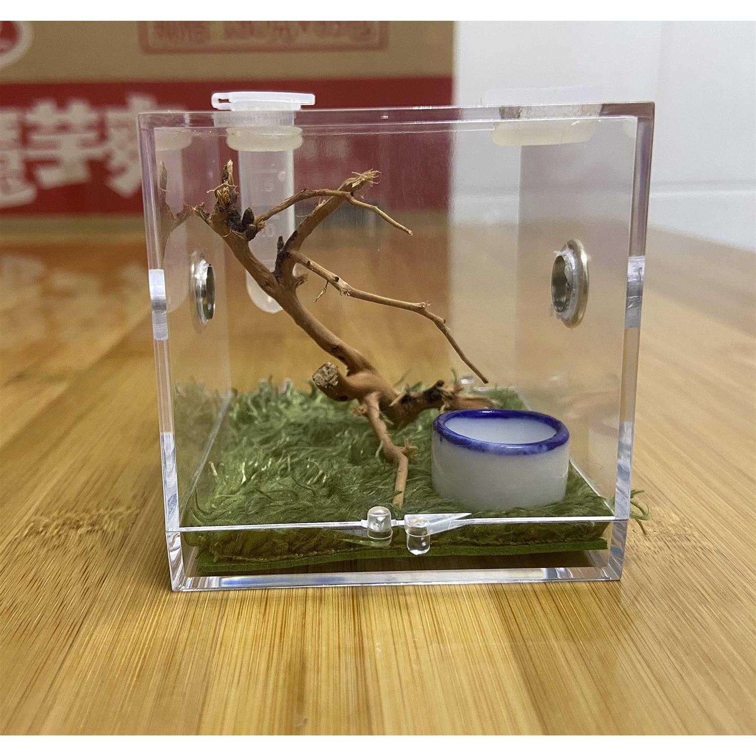 AWXZOM Spider Terrarium Acrylic Reptile Breeding Box Jumping Spider Enclosure with Dropper Tongs Snail cage - Healthber
