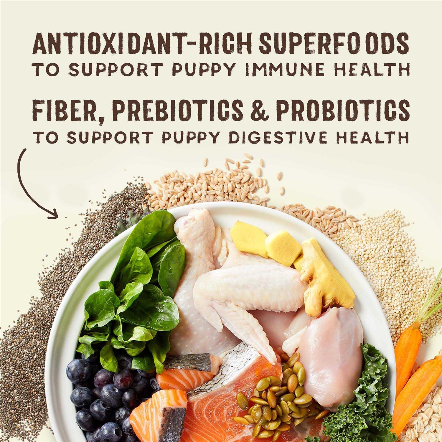 Stella & Chewy’s SuperBlends Raw Wholesome Grains Puppy Cage Free Chicken & Wild Caught Salmon Recipe with Superfoods - Healthber