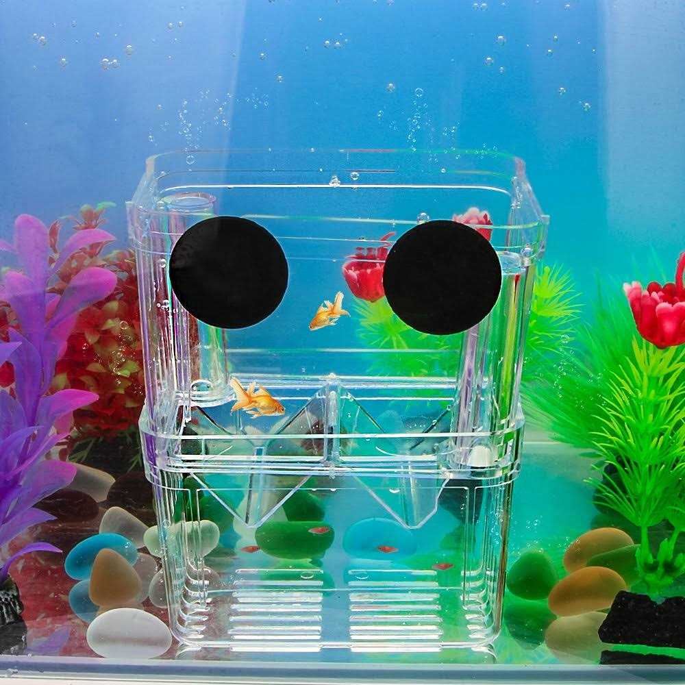 Senzeal Aquarium Fish Breeder Box Plastic Fish Isolation Breeding Box Hatching Incubator Box for Baby Fish Shrimp Clownfish Guppy - Healthber