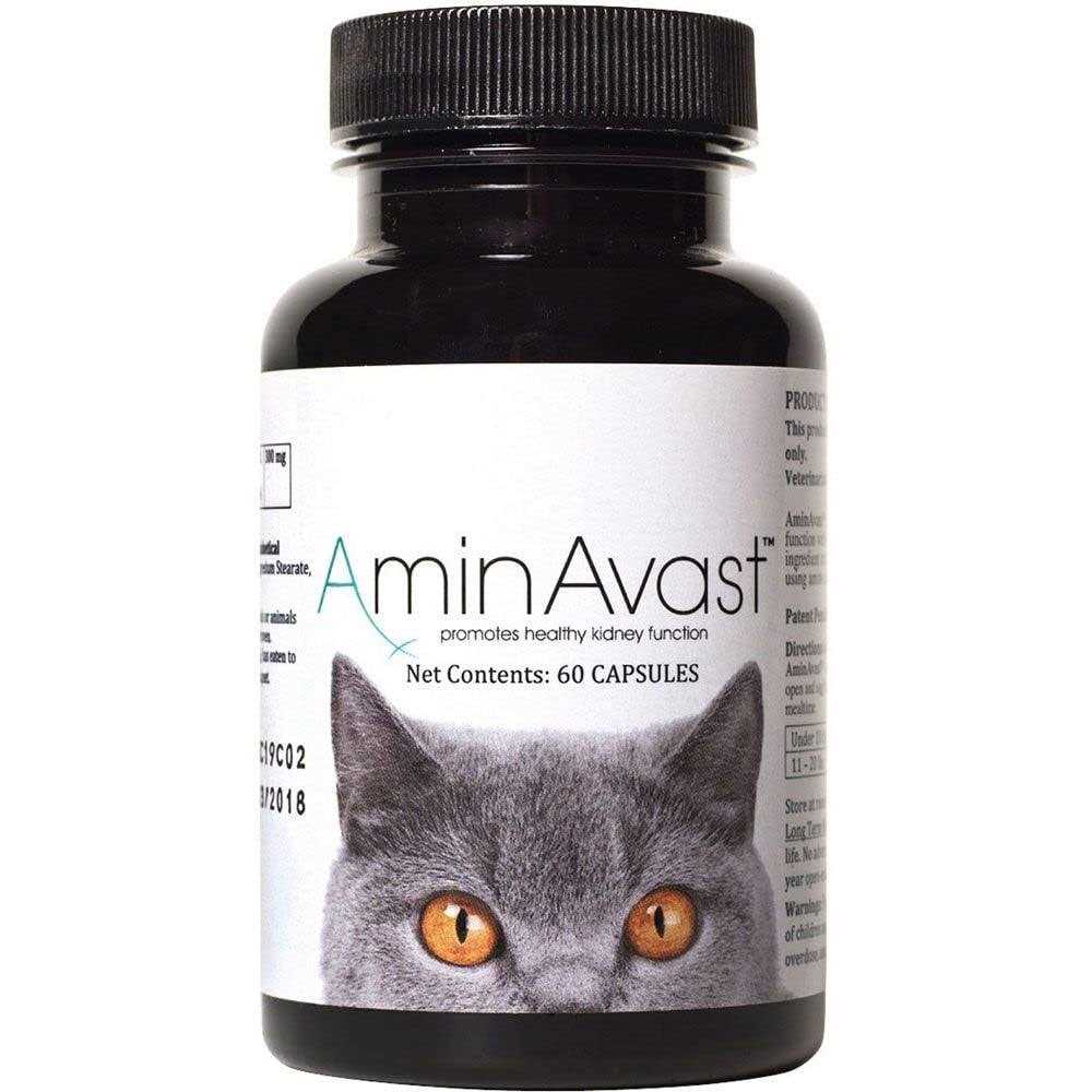 AminAvast Kidney Support for Cats - Healthber