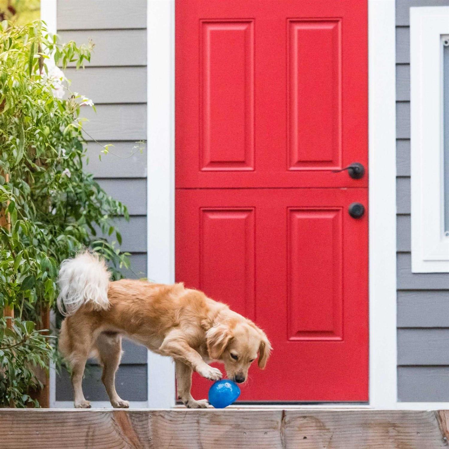 Planet Dog Orbee Tuff Snoop Dog Toy - Healthber