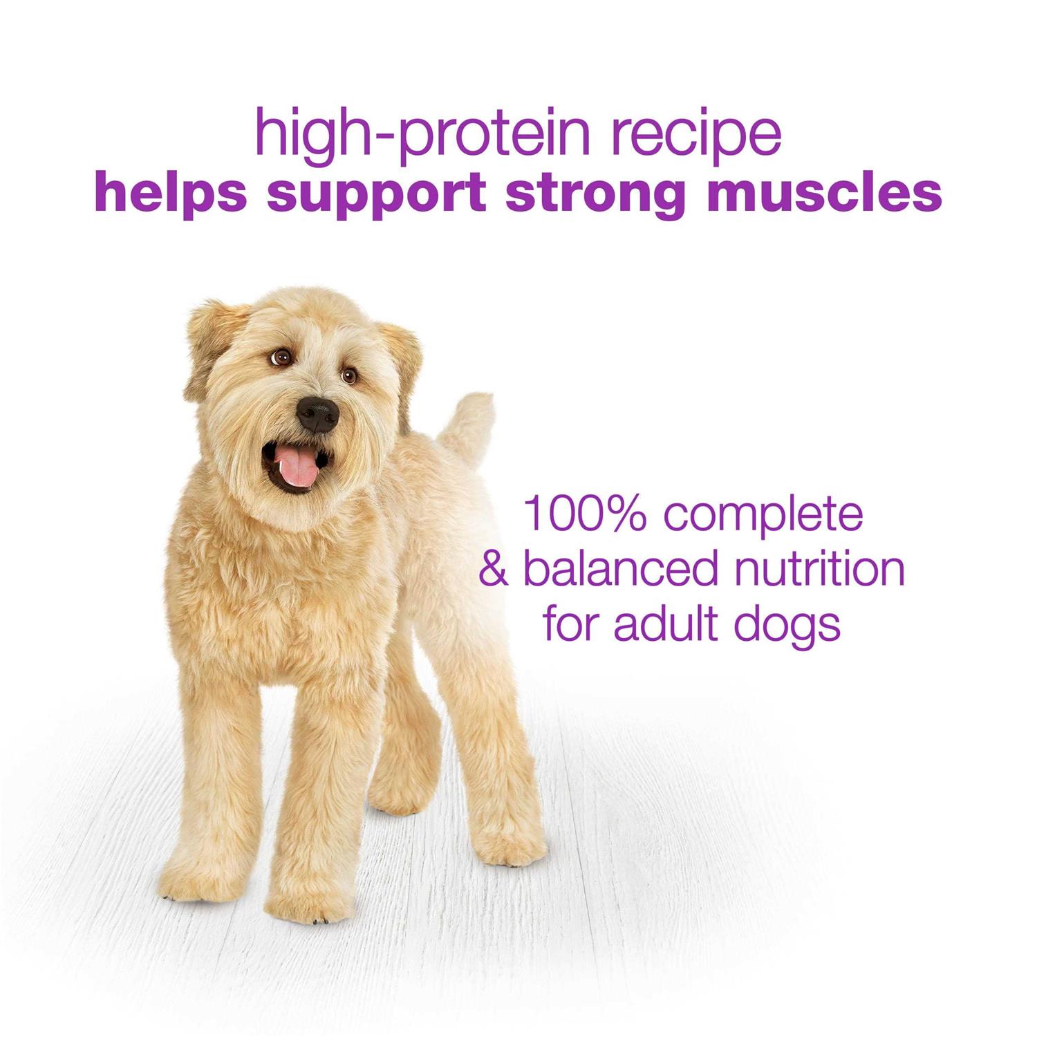 Purina Beneful Wet Dog Food Chopped Blends High Protein Variety Pack - Healthber