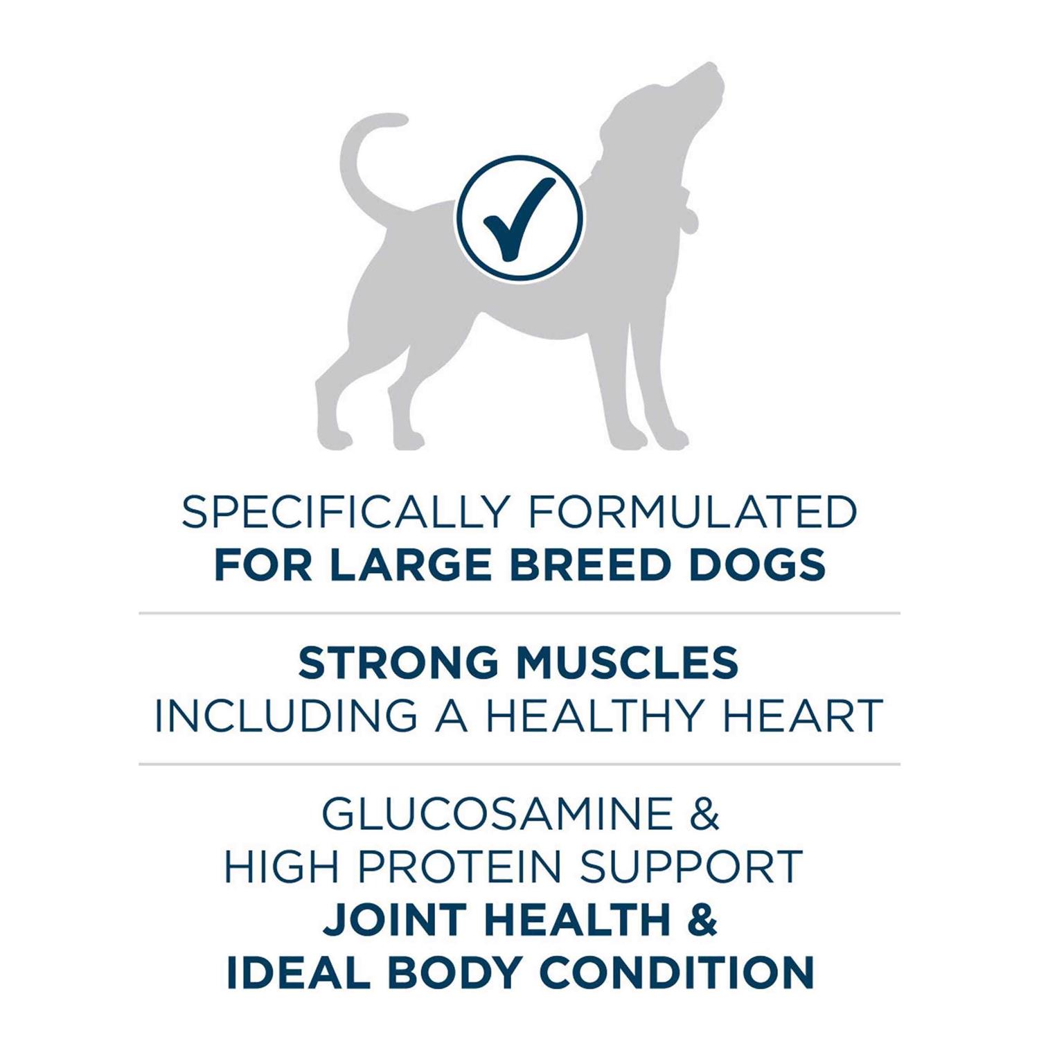 Purina ONE Natural Large Breed Adult Dry Dog Food - Healthber