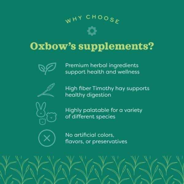 Oxbow Animal Health Natural Science Papaya Support - Healthber