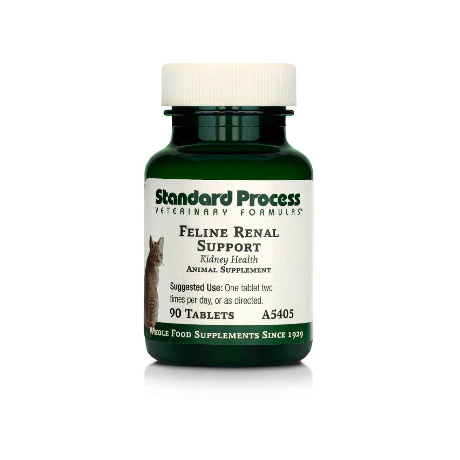 Feline Renal Support - Healthber