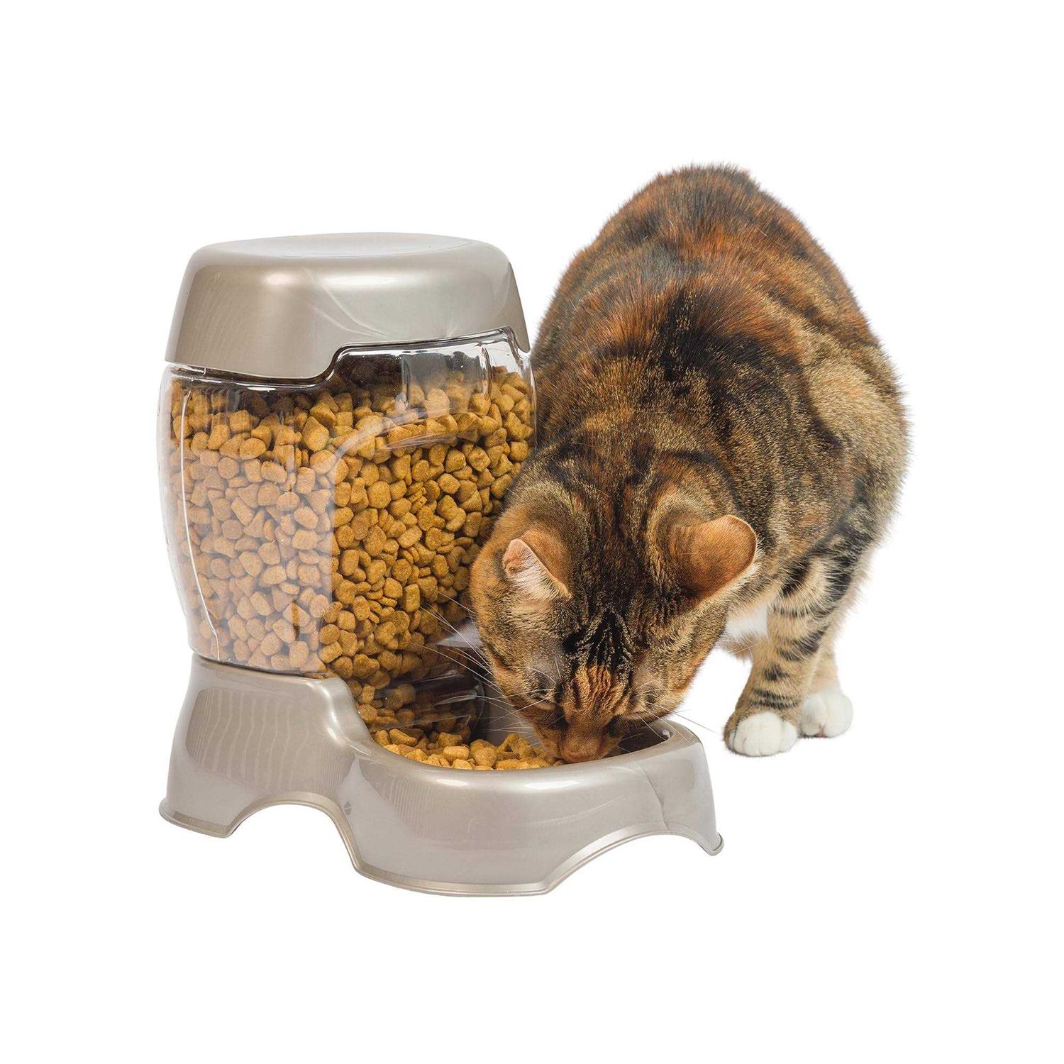 Petmate Cafe Pet Feeder - Healthber