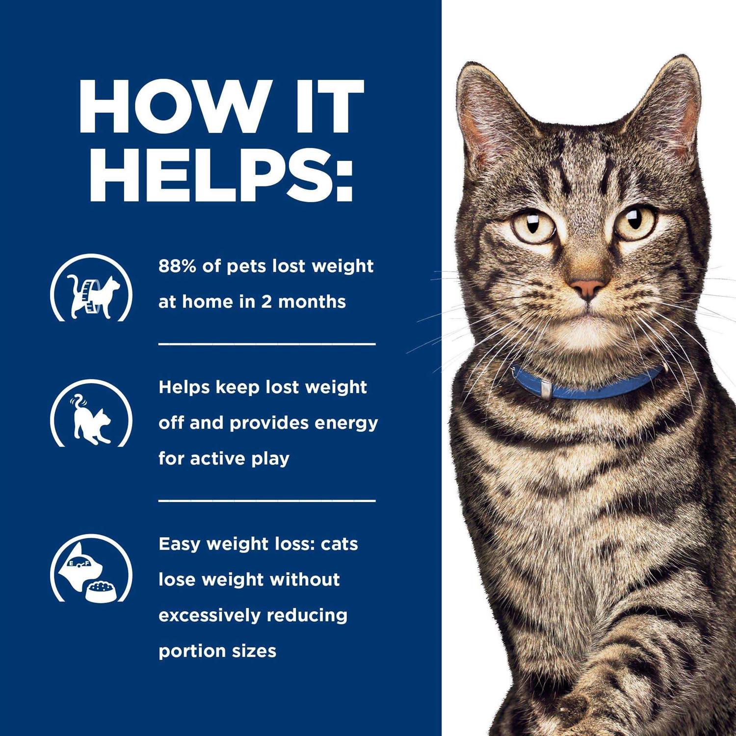 Prescription Diet Metabolic Feline Dry Food - Healthber