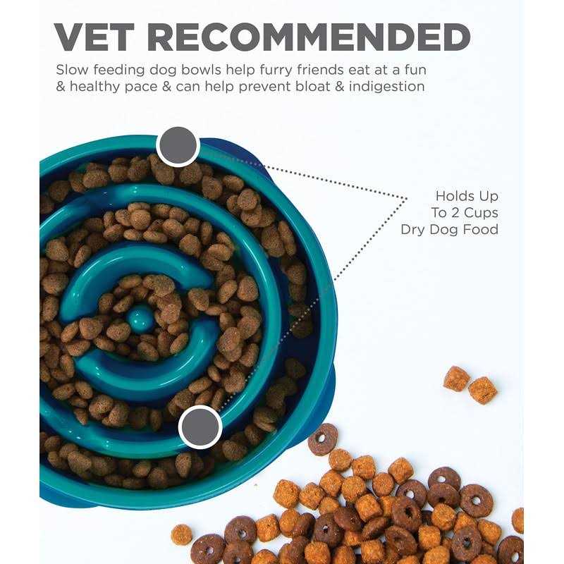 Outward Hound Fun Feeder Slow Dog Bowl - Healthber