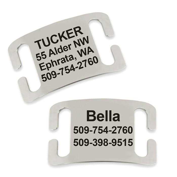 Frisco Stainless Steel Slide-On Personalized Dog & Cat Tag - Healthber