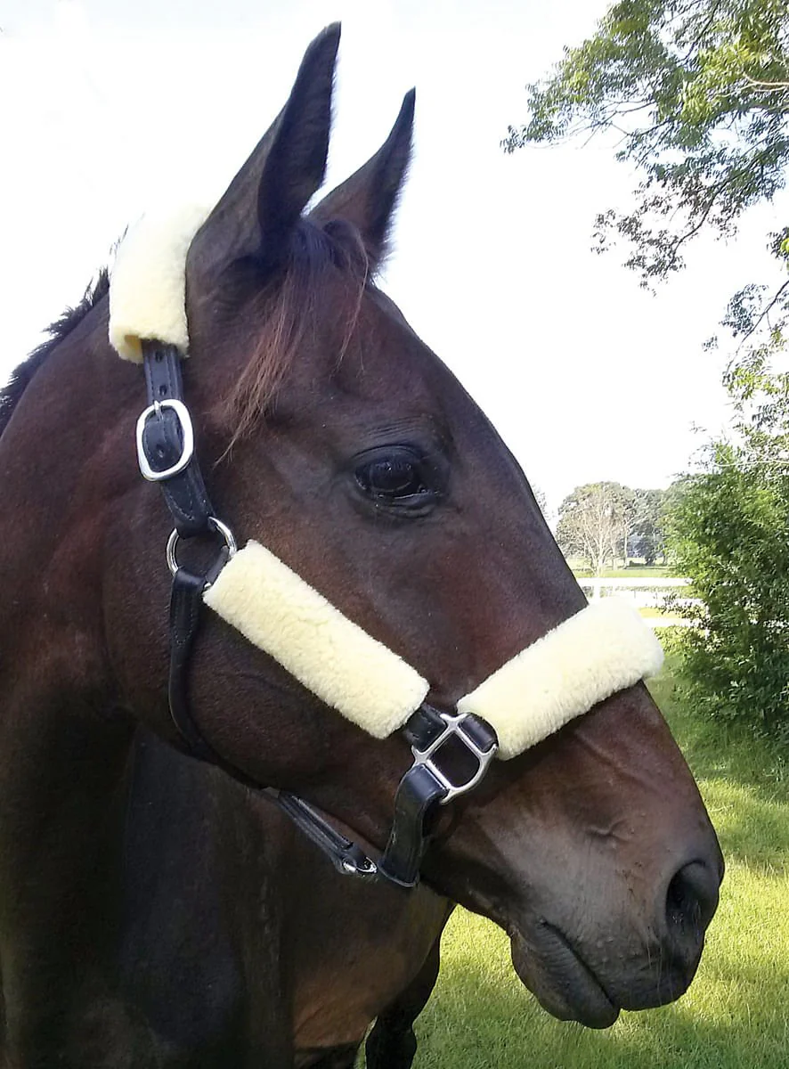 Horse Fleece Halter Tube, 4 Piece Comfort Set - Healthber