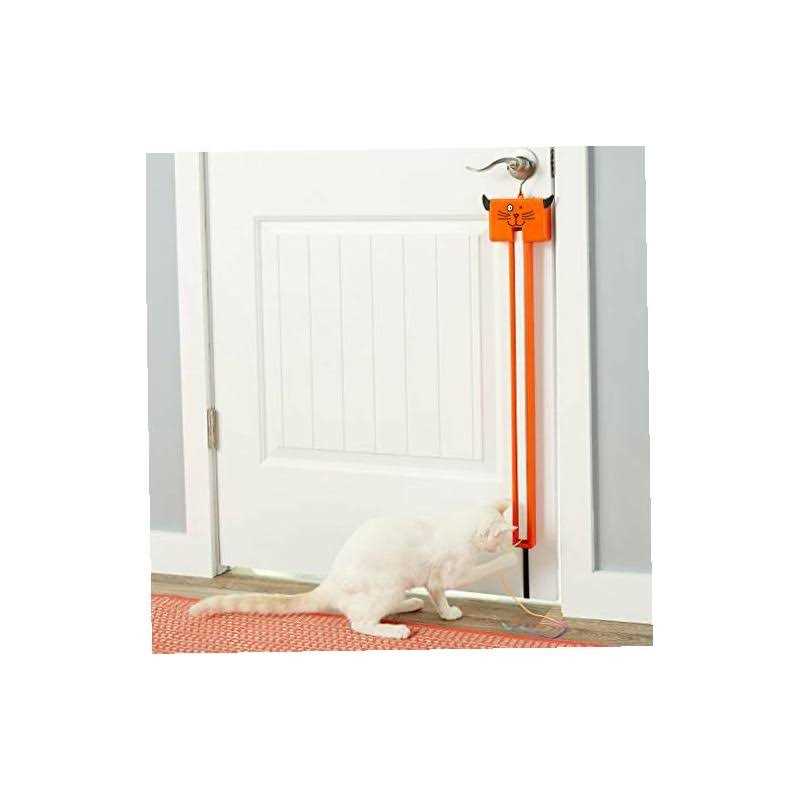 Moody Pet Fling-Ama-String Cat Toy - Healthber