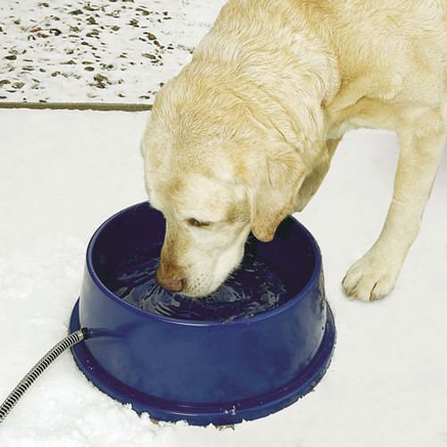 K&H Thermal-Bowl Heated Water Bowl - Healthber