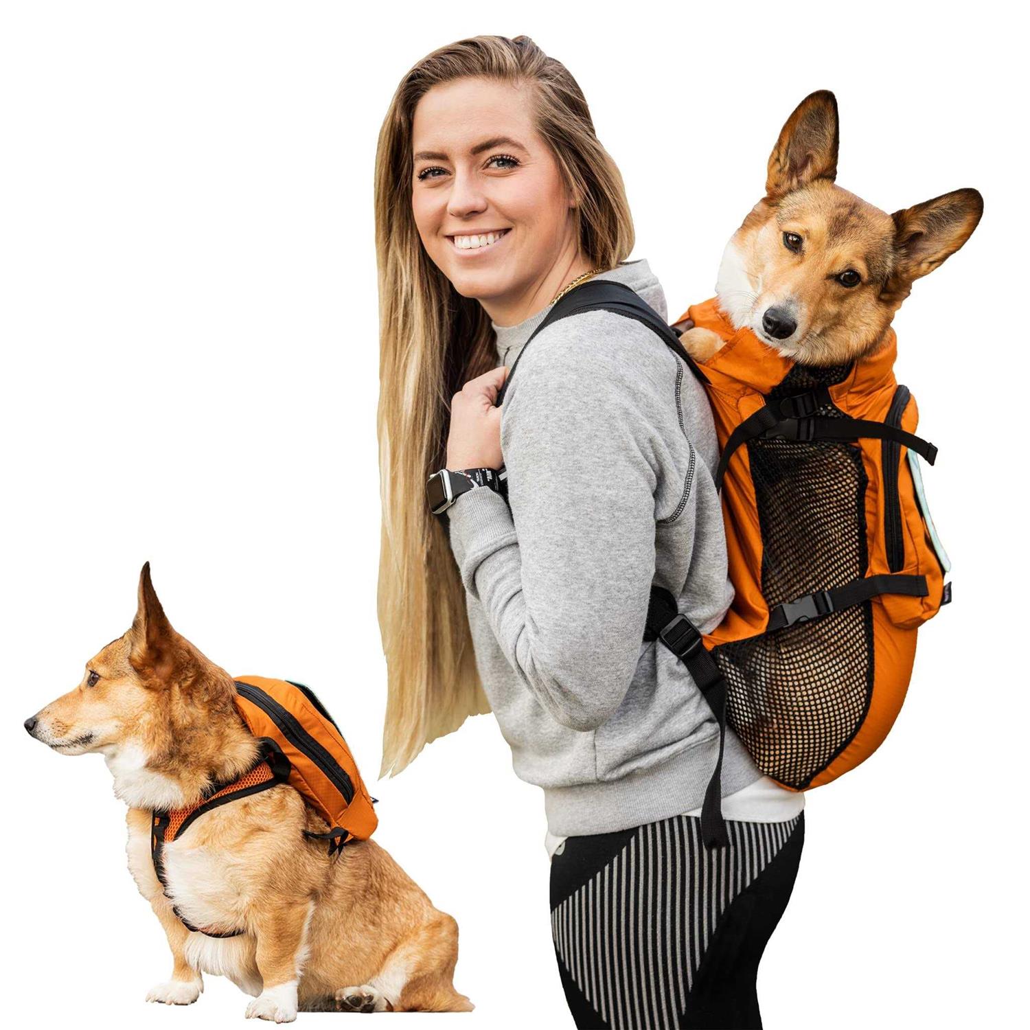 K9 Sport Sack Walk On with Harness & Storage - Healthber