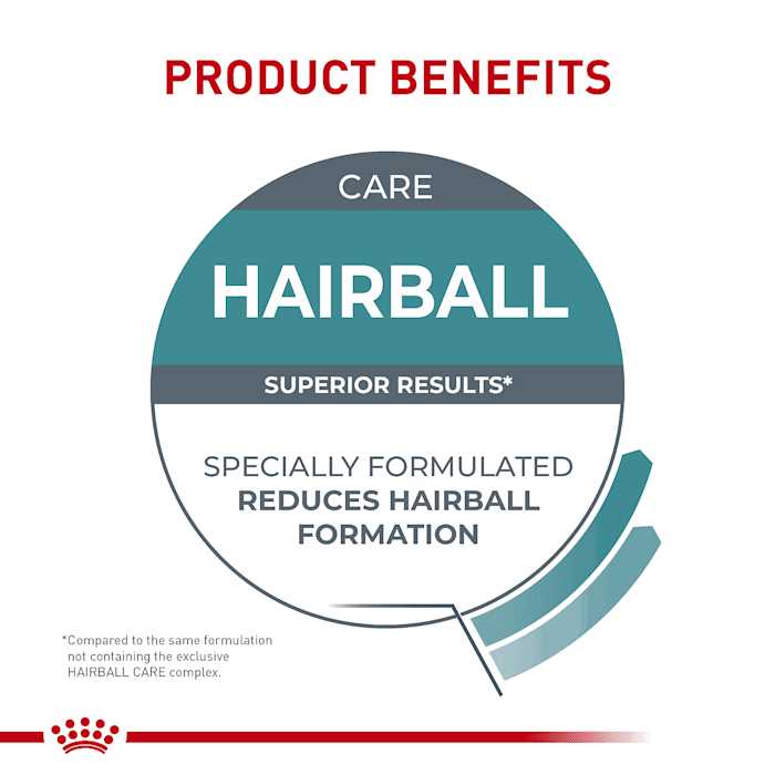 Royal Canin Hairball Care Dry Cat Food - Healthber