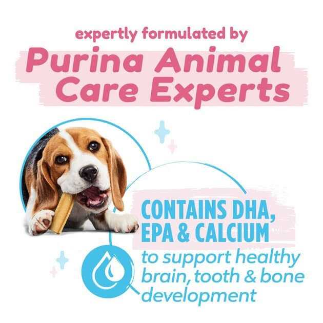 DentaLife Chicken Flavored Puppy Teething Dental Chews - Healthber